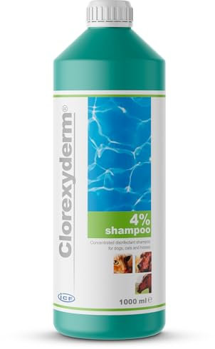 ICF | Clorexyderm 4% Dog Shampoo for Itchy Skin Relief | Anti Itch + Antifungal + Antibacterial Shampoo for Dogs, Cats & Horses with Sensitive Skin 1000ml