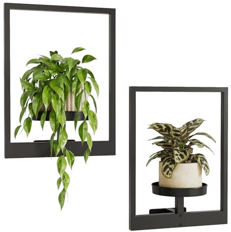 Bamworld Estantes para plantas de ventana, soporte para plantas de pared, macetas colgantes para plantas de interior, soporte para plantas al aire libre, estante de metal negro, decoración de