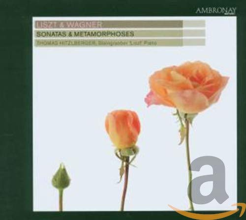 Sonatas & Metamorphoses