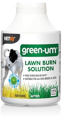VETIQ Green-Um Lawn Burn Solution, Dog Urine Neutraliser Tablets to Control Nitrogen in Urine to Prevent Lawn Yellow Spots, 175 Tablets (Pack of 1)