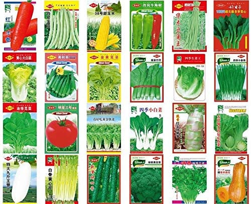 Portal Cool Australia Choy Sum 1000: Semillas China Yarda del jardín en Maceta de Verduras de Vegetales orgánicos no modificados genéticamente Original Primavera y el otoño de jardín Semillas