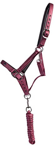 ARBO-INOX Halfter-Set 2-Fach verstellbar mit Herz-Detail und Zierkordel (COB VOLLBLUT, Bordeaux)