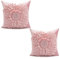 VanderHOME Dekorativer Kissenbezug, Hochwertige Holländische Samt Super Weiche Kissenhülle Mit Verstecktem Reißverschluss, Moderne Zimmer Sofa Stuhl Auto Garten Dekoration 45 * 45CM-Rosa-2pcs