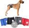 Nature Pet Läufigkeitshose für Hündinnen - Hundewindel für Rüden - Kein lästiges Einfädeln der Rute - Inkontinenz Hundehöschen (XL-Grau)
