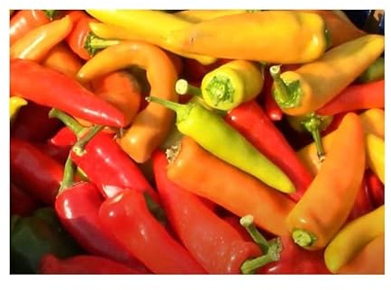 Stk - 7x Pfeffer Hungarian Yellow Hot Wax EKO Gemüse Garten Pflanzen - Samen KS279 - Seeds & Plants Shop by Ipsa