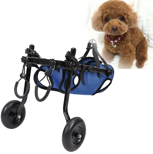 ZYREHAW Sedia A Rotelle per Cani Disabili, Carrello per Cane a 2 Ruote, Riabilitazione delle Gambe Posteriori della, Carrello Scooter con 2 Ruote, per Cani di Piccola Taglia M