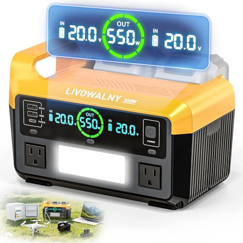 LIVOWALNY 550W Power Inverter Compatible with DeWALT 20V Battery, DC 20V to AC 110-120V Pure Sine Wave Power Station with 2 AC Outlets, 2 USB-A & 1 Type-C, for Camping Power Outage (No Battery)