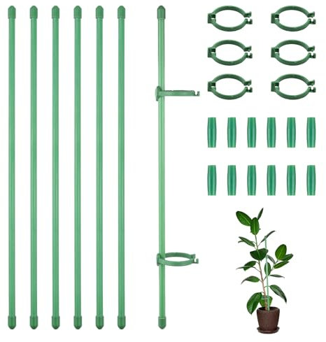 30 Stück Orchideen Stäbe Set, Pflanzen Stütze Stabilisierung, 30 cm Orchideenstäbe, Orchideenstab Mit 60 Klammer und 15 Verbindungsroh, Rankhilfe Zimmerpflanzen für Orchideen, Rose, Tomatenpflanzen