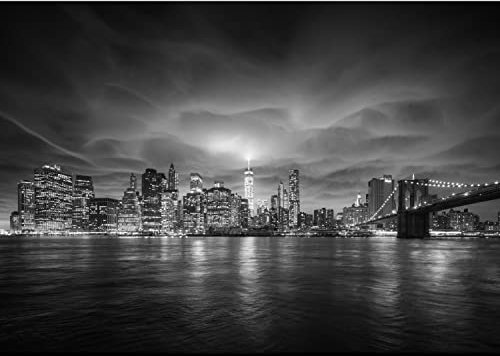 Runa Art Papier peint intissé 396 x 280 cm Nuit à New York | Toison Décoration Murale Salon Chambre á Coucherr | Fabrication Allemande | Noir et blanc 9210012c