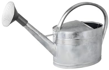Arrosoir 10L + pomme d'arrosage, Acier