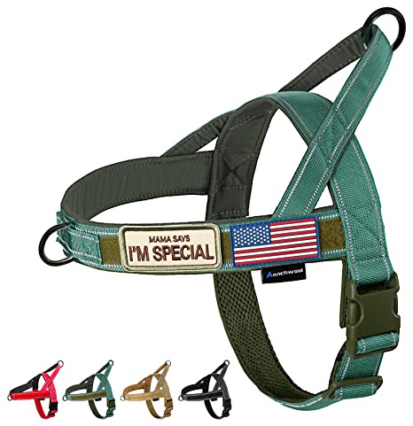 Annchwool No Pull Dog Harness with Soft Padded Handle,Reflective Strip Escape Proof and Quick Fit to Adjust Harness,Easy for Training Walking for Small & Medium and Large Dogs(Green,L)