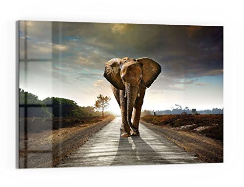 DEQORI Glasbild Echtglas | Motiv Elefant auf Asphalt | horizontal einteilig 90x60 cm | schöne Dekoration | Wandbild für Wohnzimmer, Schlafzimmer, Flur & Küche | moderne Wanddeko