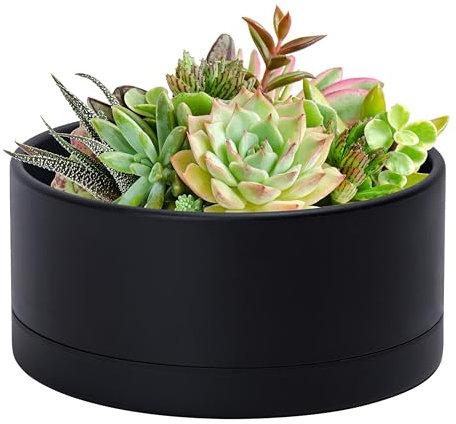 D'vine Dev 10 Inch Plastic Shallow Planter, Large Round Succulent Plant Pot with Drainage Hole and Sauce, Decorative Bonsai Pot for Indoor Plants, Black, 76-A-M-2