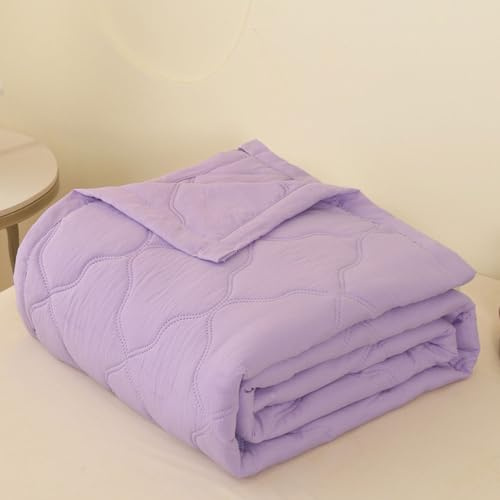 DOTBUY-SHOP Copriletto Trapuntato Matrimoniale Singolo, Trapuntino Coperta Estivo Primaverile Autunno Trapunta Coperta Leggera per Camera da Letto (Viola Chiaro,180x200cm)