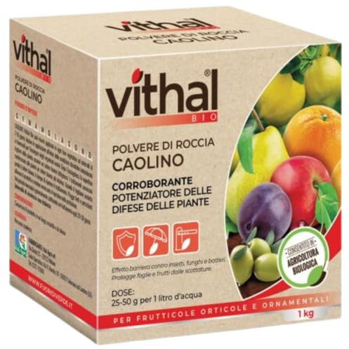 VITHAL Integratore Caolino Polvere di Roccia - Caolino per Agricoltura, Protezione Naturale, Difesa Contro Insetti e Scottature, Azione Cicatrizzante, Consentito in Agricoltura Biologica, 1kg