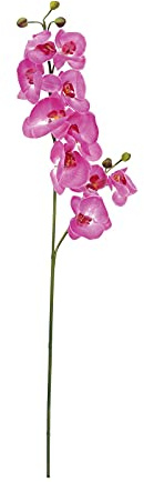 Europalms Orchid Spray, Purple