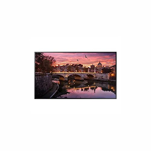 SAMSUNG Schermo 55'' LFD 4K 16h/7j UHD (3840 x 2160) 350cd/m Tizen 4.0 DVI-D 2xHD
