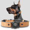 Halsband Hund Leder mit Air Tag Halter, Airtag Hundehalsband IPX8 Wasserdicht, Handgefertigt, Weich und Bequem, Reflektierend, Verstellbare Polsterung, für Mittlere Große Hunde (Hellbraun, L)