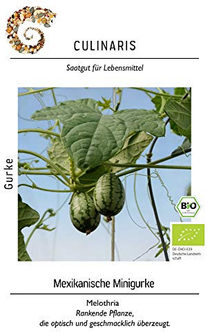 Culinaris 096 Mexikanische Minigurke (Bio-Minigurkensamen)