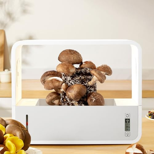 Pilz Grow Box, LED -Pilz -Wachstum Zelt, Zelt Intelligent Soilllos Transparent zu Sehen Automatische LED -Beleuchtung Noch Luftpilzbox