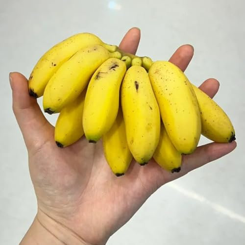 Semi resistenti di pianta di banana, alberi da frutto nani resistenti piante per il giardino comprare alberi piantare frutti piante da giardino frutteto semi rari frutta fresca serre 45pcs