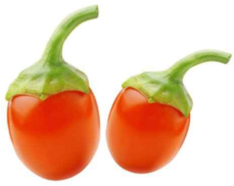 Goji-Beere Lycium barbarum 60-70 cm Bocksdorne