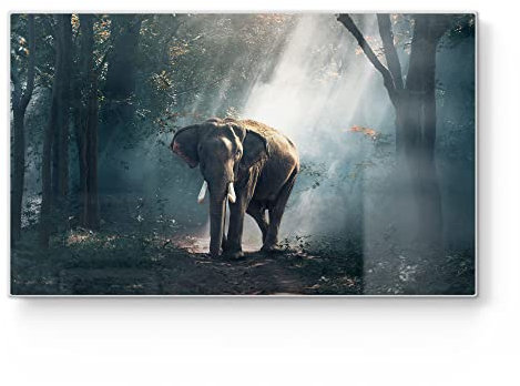 DEQORI Frühstücksbrett Glas | klein 23x14 cm | Motiv Elefant im Wald | Design Schneidebrett für Küche | Frühstücksbrettchen antibakteriell & rutschfest | Glasplatte & Servierplatte
