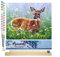 Figured'Art Malen Nach Zahlen Erwachsene Mit Rahmen Reh auf der Wiese - Paint by Numbers Basteln DIY Bastelset 40x50cm Mit Keilrahmen (nicht gespannt)