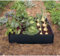 Britten & James Large Raised Vegetable Bed Kit in Smart Black Plastic. Weatherproof, Rot Proof and Tough. No Tools Required - Stack for Deep or Wheelchair Beds