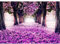 Runa Art Fototapete Wald Park Modern Vlies Wohnzimmer Schlafzimmer - Made in Germany - 308 x 220 cm Violett 9003010b