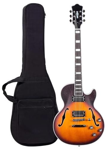Anfänger Elektrische Gitarre Semi Hollow Body E Gitarre Matt Lackiert Mit Tasche 6 Saiten Fester Steg Humbucker Tonabnehmer(VS)