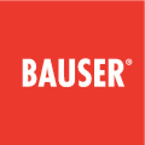 Bauser 3801/008.3.1.0.1.2-001 Digitaler Zähler Bauser 3801.3.1.0.1.2