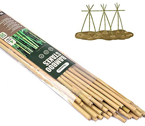 Cambaverd Lot de 25 tuteurs en bambou naturel 120 cm, respectueux de l'environnement pour plantes grimpantes et en pot