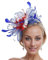 SJTJSPX Fascinator Hut Damen Mädchen Hut Fascinator Zubehör Haar Mesh Netz Hut Hochzeit Elegant Schleier Stirnband Clip Haarreif Braut Kirchenhüte Tea Party Cocktail Royal Ascot, Weiß / Blau