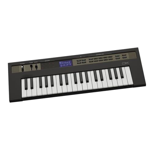 Mini Teclado Sintetizador Portátil De 37 Teclas Para Adultos Teclado Electrónico De Rendimiento Profesional(Black)