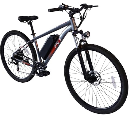 PVY M29 250W Elektrofahrrad mit 48V 17.5Ah Akku, 29 Zoll E-Bike Erwachsene,120KM Reichweite, 7-Gang, Mechanische Scheibenbremsen, StVZO für Stadt & All-Terrain (Grau)
