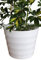 Garden Market Place Quality White Rigid Plastic Plant Pot Cover -Contempory Ridged Design- Ideal to Sit House Plants In- Diameter 28cms