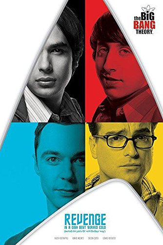 The Big Bang Theory Poster Revenge (61cm x 91,5cm)