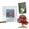 30 Japanese Maple Bonsai Seeds | Acer Palmatum | Growing Guide | Grow Your Own Bonsai Tree | Bonsai Beginners and Enthusiasts