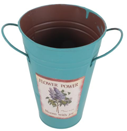 NULYLU 1 Pc Secchiello per fiori di latta secchio pottd fioriera a secchiello zincato terrario piante decorazione casa secchio di ferro secchio per piantare ferro da stiro