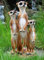 SSITG Erdmännchen Familie Figur Gartenfigur TOP PREIS NEU
