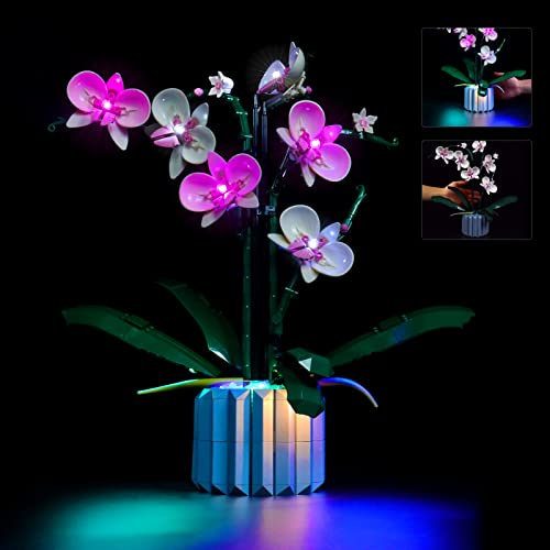 BrickBling Licht-Set Kompatibel mit Lego Orchidee Dekorations-LED-Licht-Set Compatible with Lego 10311 Orchidee Botanical Collection Set(Nur Lichter, Nicht enthaltener Baustein)-Light Control-Version