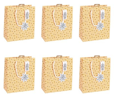 Clairefontaine X-32784-3Cpack 6 Geschenktaschen Kraft 21,5x10,2x25,3cm Weiß