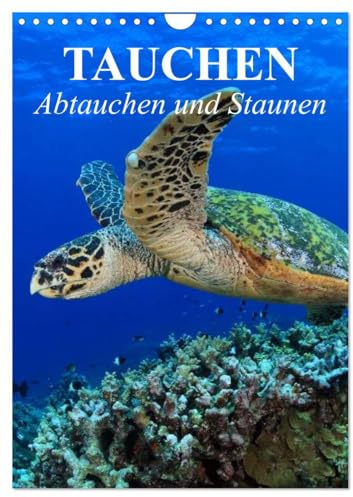 Tauchen - Abtauchen und Staunen (Wandkalender 2026 DIN A4 hoch), CALVENDO Monatskalender: Abtauchen in die faszinierende Unterwasserwelt unserer Meere (CALVENDO Natur)