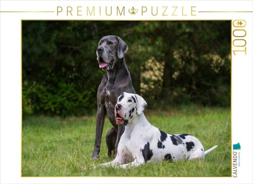 CALVENDO Puzzle EIN Motiv aus dem Kalender Deutsche Dogge 2017 | 1000 Teile Lege-Größe 64 x 48 cm Foto-Puzzle für glückliche Stunden