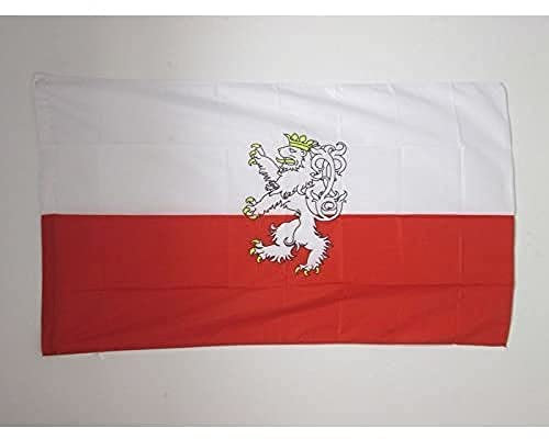 AZ FLAG - Flagge Böhmen - 90x60 cm - Böhmischen Krone Fahne 60 x 90 Cm Scheide Für Mast - Flaggen