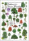 Earth Sky + Water - Native Trees of Florida - Poster