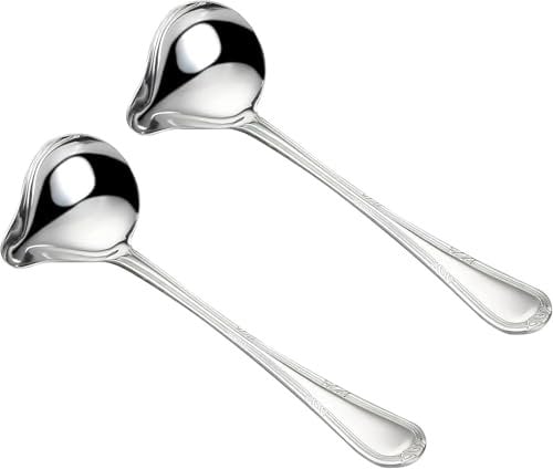 DAKLUNAR Lot de 2 cuillères à sauce en acier inoxydable argenté - 20 cm - Cuillères à sauce avec bec verseur - Petite louche à sauce pour vinaigrettes, sauces à soupe, sauces frites, petites louches