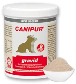 Canipur