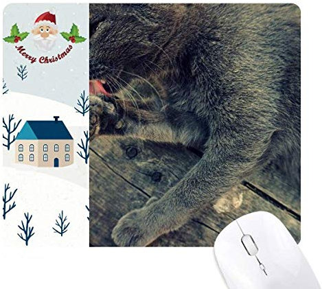 Tapis de souris motif chat gris avec photo de Père Noël